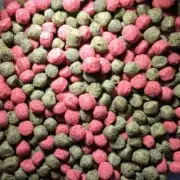 Fish Food Koi - Floating 6mm Med Pellet - 15kg Bulk - FREE SHIPPING