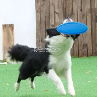 狗狗飛盤寵物玩具飛盤狗矽膠耐咬飛盤可浮水訓練拋擲玩具