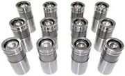 DNJ LFK12421 Valve Lifter Kit For 61-92 Ford Mercury 2.9L-6.4L V6 V8 Set of 12 Valve Lifter Kit LIF421 BOX X12