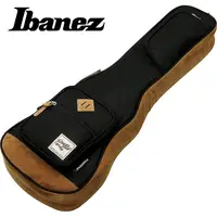 在飛比找蝦皮購物優惠-【恩心樂器批發】Ibanez POWERPAD 原廠 15m