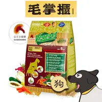 在飛比找樂天市場購物網優惠-VegePet 維吉 專業級無穀靈芝成犬5磅 毛掌櫃 mao