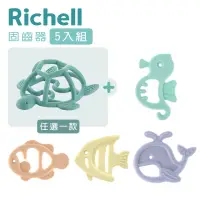 在飛比找momo購物網優惠-【Richell 利其爾】3D固齒器x1+矽膠固齒器x4(兔