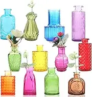 Dyrfolm 12 Pcs Glass Bud Vases in Bulk,Mini Vintage Flower Vases for Centerpieces,Colored Small Vases for Flowers,Glass Bottles for Home Wedding PartiesTable Decoration (Many Colors)