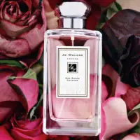 在飛比找蝦皮購物優惠-Jo Malone Red Rose | 紅玫瑰 100ml