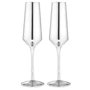 2PK Aurora Metallic 500ml Champagne Flute Glass Drinking Cup Stemware Set Silver