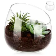 Glass Flower Vase Round Terrarium Container Flower Planter Small Planter Pot