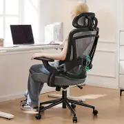 Ergonomic Office Chair - High Back Desk Chair with Up&Down Lumbar Support,Adj...