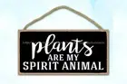 plaque of accent walls in living room plants are my spirit animal wood sign