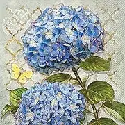 Hydrangea Floral Party Napkins- 40 Count | 2 packs of 20CT Beverage Napkins | Blue Heirloom Design, 5" x 5"