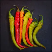 Capsicum - Peperone seeds