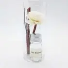 Small Aroma Oil DK BLOSSOMS Diffusers Rattan Reed Fresh all Time with Natural
