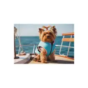 Coastal Outdoor Rug -Waterproof Patio Mat, Beach Decor, Deck Rug, Yorkie dog