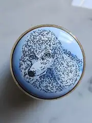 Exquisite Staffordshire Enamel Trinket Box Made in England White Poodle Dog