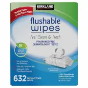 Kirkland Signature Moist Flushable Wipes 640 Wipes