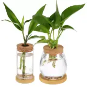 2 Pcs Hydroponic Plant Vase Plants Terrarium Propagation Station
