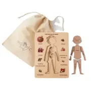 Nordic Kids Educational Childrens The Human Body Toy Interactive Wood Puzzle 3+
