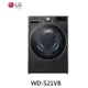 LG 樂金 蒸氣滾筒洗衣機 (蒸洗脫) 21公斤 (尊爵黑) WD-S21VB【雅光電器商城】