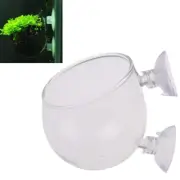 Fish Tank Mini Crystal Glass Pot Water Potted Aquatic Planting Cylinder Cup ` CR