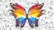 Butterfly Water Drops Abstract home decor Art Painting Canvas