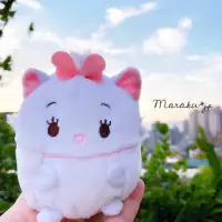 在飛比找蝦皮購物優惠-Disney 日本代購 東京迪士尼 Tsum Tsum 茲姆