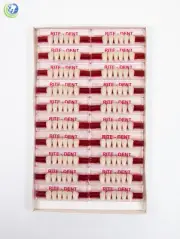 Dental Lab Lower Anterior Acrylic Resin Teeth Various Sizes & Shades 120/Box
