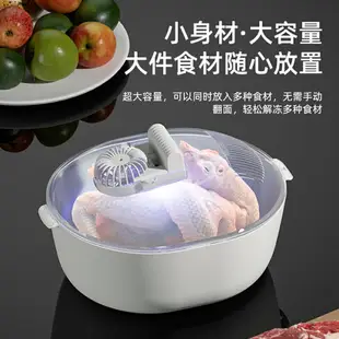 家用保鮮解凍器食品鎖鮮凍肉解凍神器快速解凍機食物解凍板解凍盤