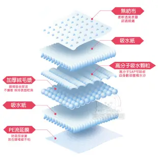 尿布 高品質寵物尿布墊 1.2KG一般款 獨家鎖水吸收技術 寵物尿墊 狗尿墊 抗菌脫臭 超強吸水 (5.1折)