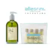 【Allegrini 艾格尼】Oliva地中海橄欖系列 髮膚清潔超值體驗組 (髮膚清潔露 500ML+豪華旅行組)
