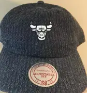 Mitchell And Ness Bulls Hat Blue (New)