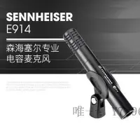 在飛比找Yahoo!奇摩拍賣優惠-詩佳影音SENNHEISER/森海塞爾 E901 E902 