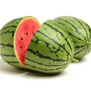 Watermelon - Daredevil F1 seeds