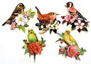 3D Easy Die Cut Card Toppers Birds with Flowers Budgie Assorted Type 4