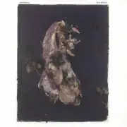 Isak Edberg - Belt Of Orion (LP)