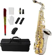Domary EB Alto Saxophone Brass E Flat Sax 802 Key Type Woodwind Instrument with Cleaning Rod Cloth Gloves Strap Padded Case