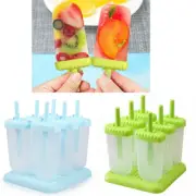 Popsicle Molds 6 Pieces Ice Pop Molds Popsicle Mold Ice Pop Make