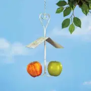 Charming Rustic Metal Heart Double Hook Fruit Feeder Birdfeeder w/ Roof
