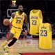 Nike 球衣 NBA Swingman 黃 紫 洛杉磯湖人 LAL 詹姆斯 23 LBJ 運動背心 DN2009-733