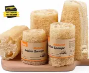 Premium Natural Loofah Sponge Set - Exfoliating Shower and Bath Sponges for a Sp
