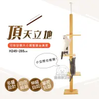 在飛比找PChome24h購物優惠-【PET DREAM】頂天立地四層貓跳台 貓跳台 貓樂園 通