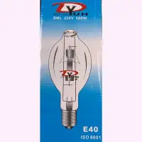 在飛比找蝦皮購物優惠-Deh Yuh 水銀燈泡 免安定器 清光 220V 500W