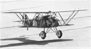 Fiat CR32 Biplane 54" WS R/C Airplane Laser Cut Balsa Ply Short Kit With Plans