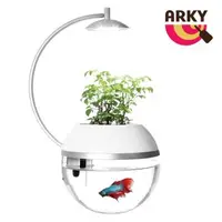 在飛比找森森購物網優惠-ARKY 香草與魚HerbFish®Ｘ