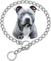 Dog Choker Chain for Large Dogs, 304 Stainless Steel Heavy Duty Slip Collars Chew Proof, Martingale Puppy Collars for XXS XS Small Medium Big Dogs, Silver, L