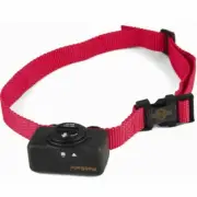 PetSafe Static Bark Control Collar - Stop Barking PBC19-10765