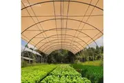 Instahut 70% Shade Cloth 3.66x30m Shadecloth Sail Heavy Duty Beige
