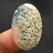 Scenic Moss Agate Cabochon 26x16x4mm High Quality 15.5 ct
