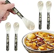 Caviar Spoons with Round Handles, 5 Pieces Mother of Pearl Spoon, Caviar Server Decorative Caviar Spoons for Caviar, Egg, Ice Cream, Mother of Pearl Caviar Spoons, Decorative Caviar Spoons for Serving