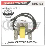 R102173 Coil Electronic Control Unit BRIGGS & STRATTON 16 HP