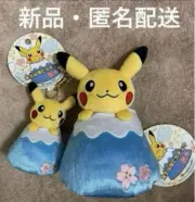 Pokemon Center Mount Fuji Pikachu Plush Toy Gotemba Outlet Exclusive Set A024