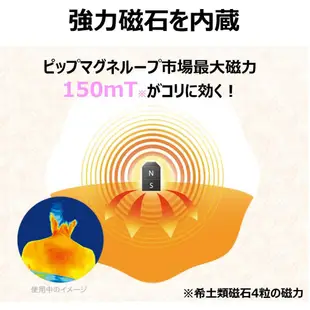 【快速出貨】日本境內正版易利氣 EX加強版 黑/粉/藍 45/50/60cm 磁力項圈 限定版 永久磁石 日本